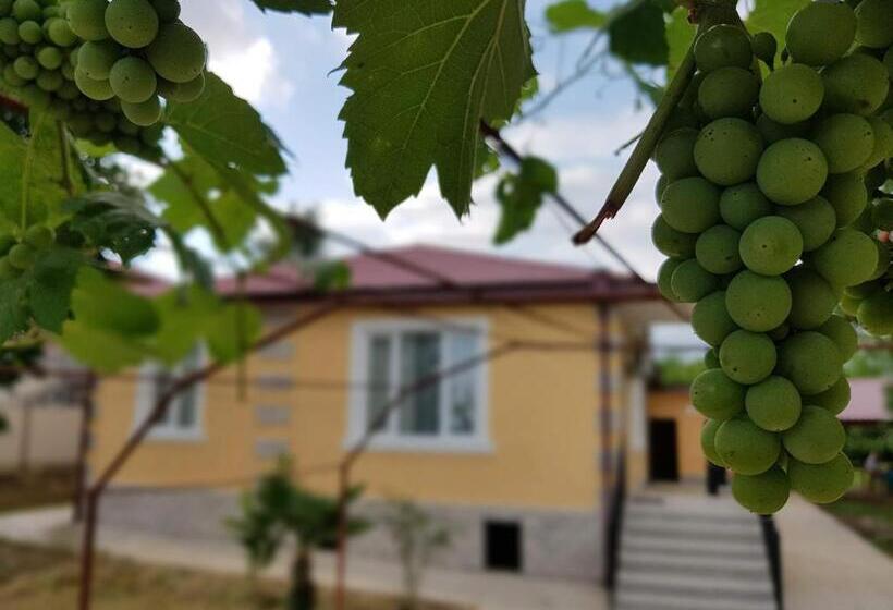 پانسیون Villalia