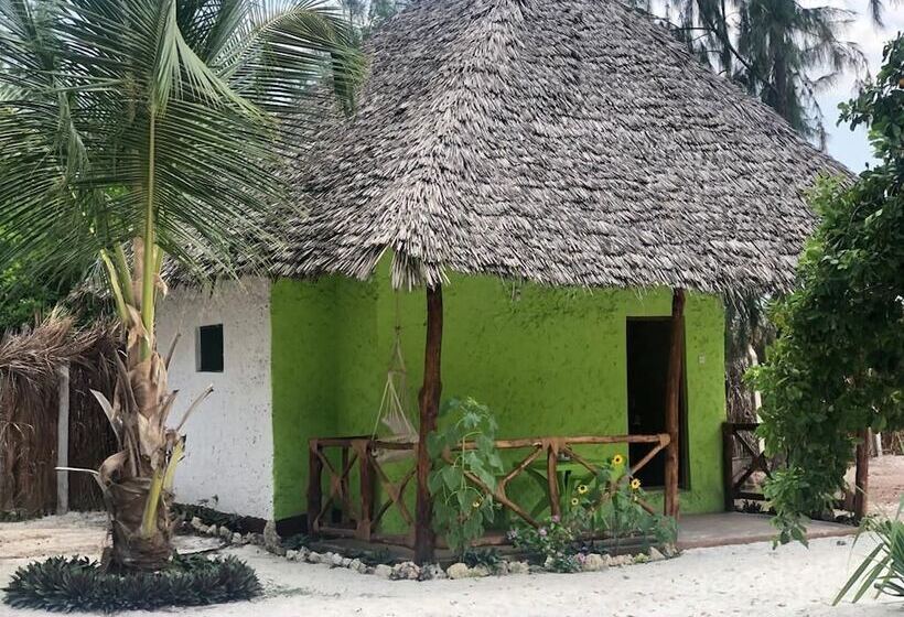 Bed & Breakfast Dreams Of Mapacha