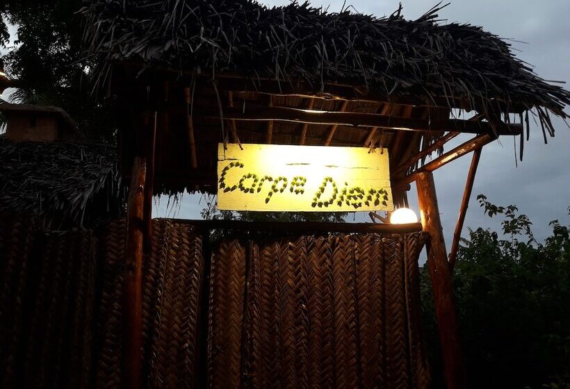 ペンション Carpe Diem Nungwi