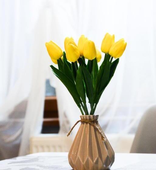 پانسیون Bellis