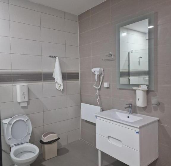 پانسیون Vilin