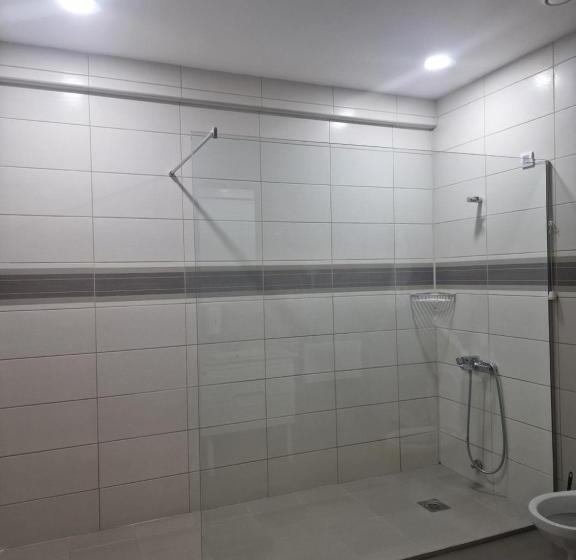 پانسیون Vilin