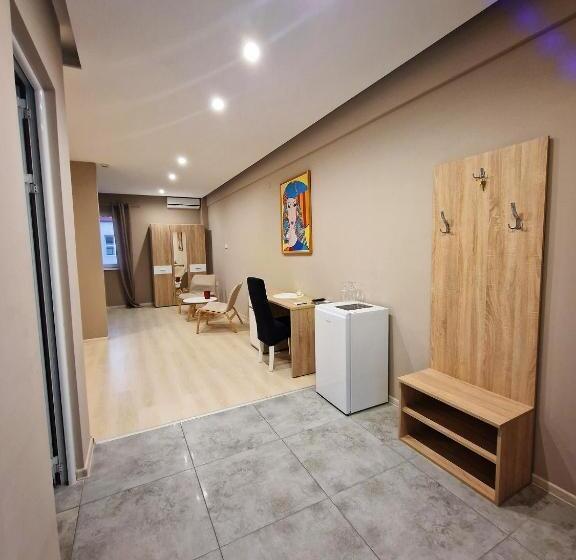 پانسیون Vilin