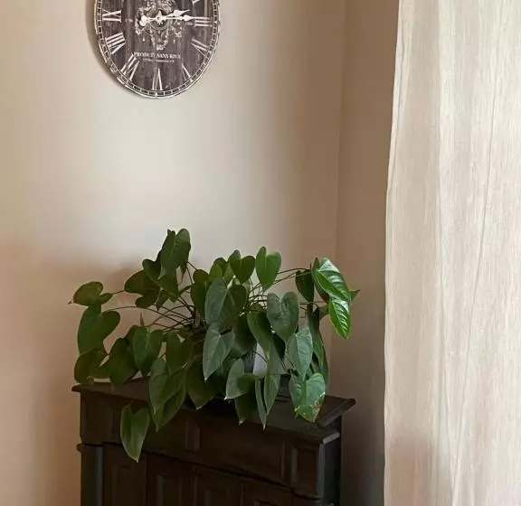 تختخواب و صبحانه Angelo