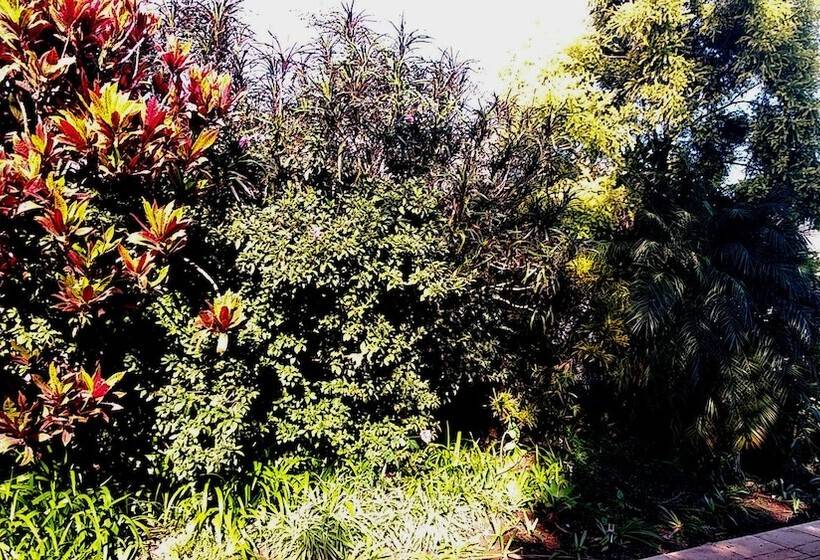 بنسيون The Wilds Guest House