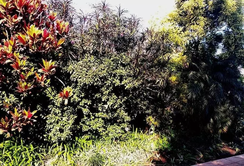 Majatalo The Wilds Guest House