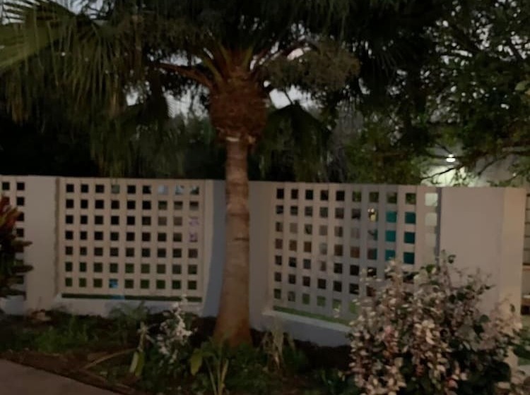 بنسيون The Wilds Guest House