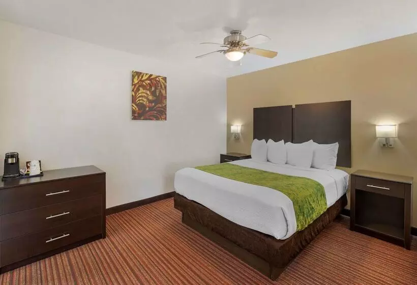 호텔 Best Western Mesquite Inn