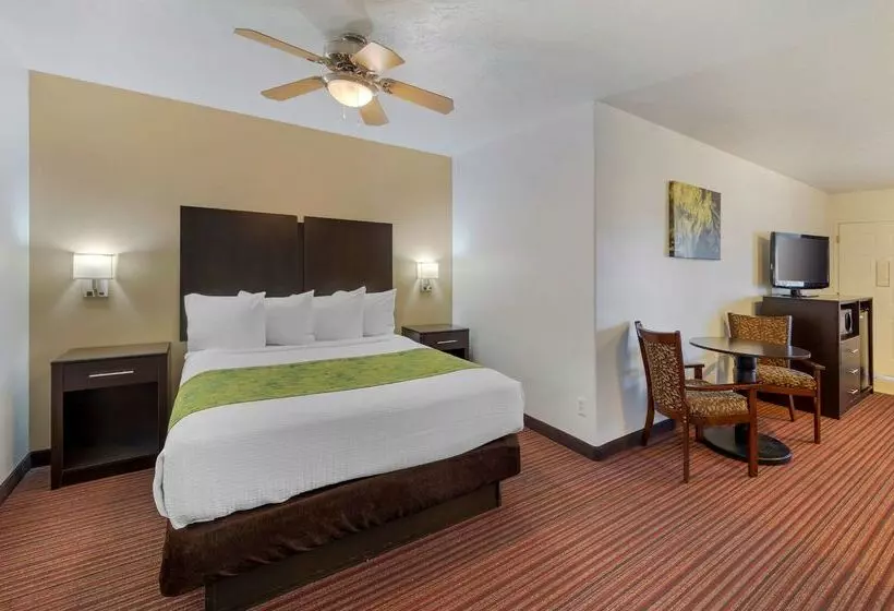 호텔 Best Western Mesquite Inn