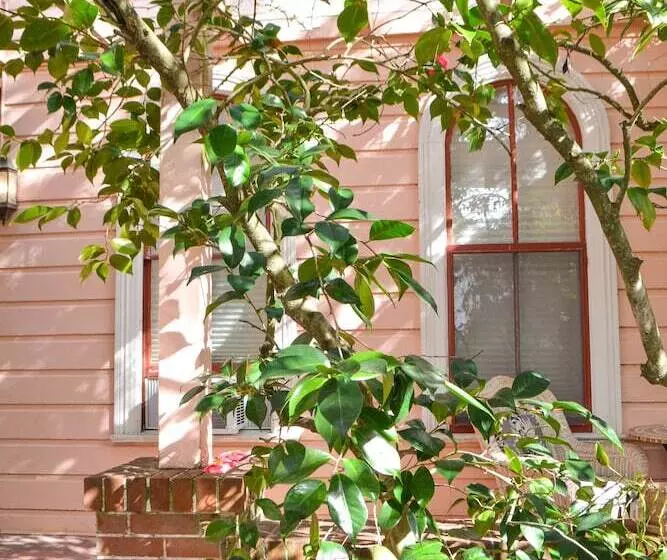 Отель Camellia Inn