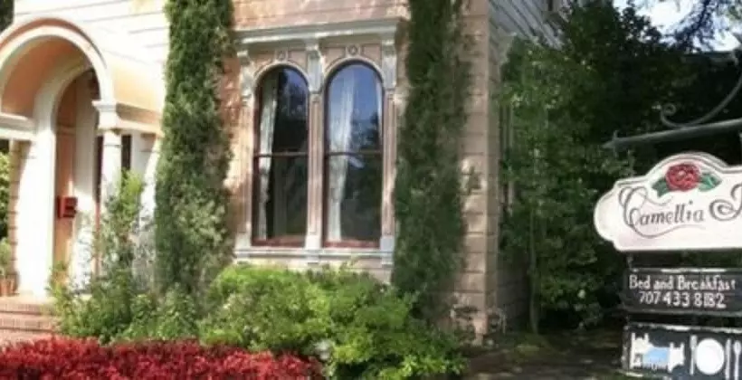 Отель Camellia Inn