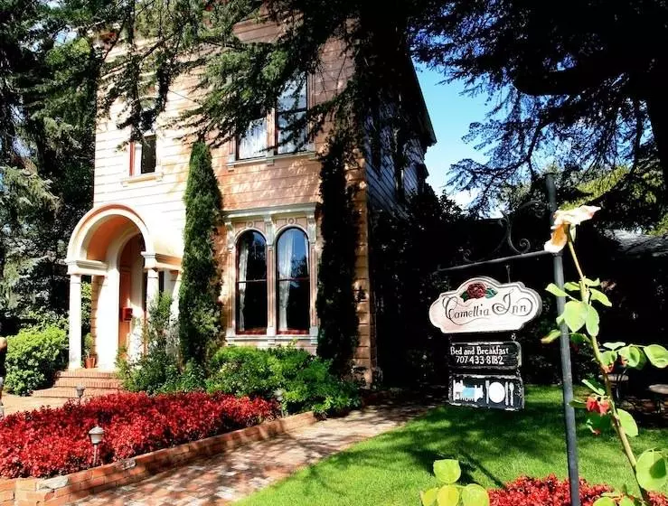 Отель Camellia Inn