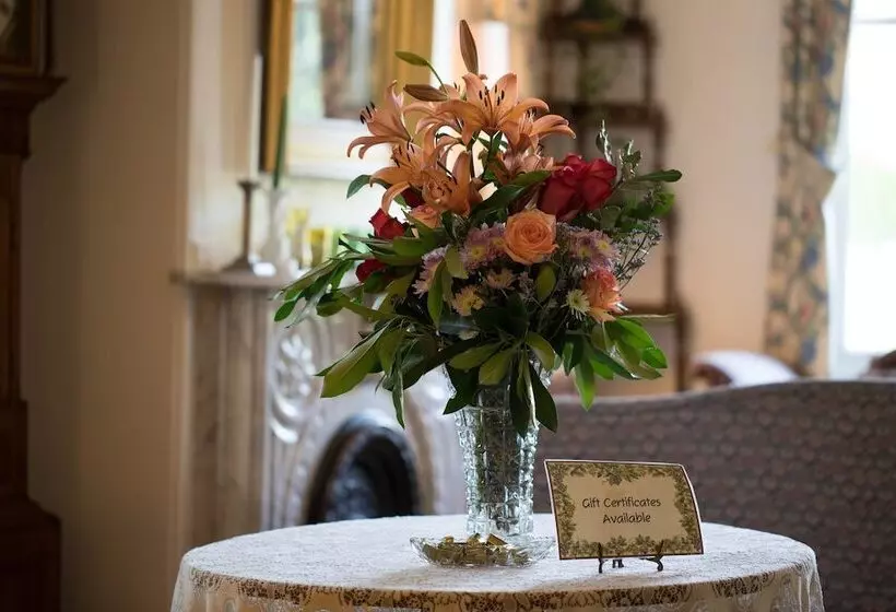 Отель Camellia Inn