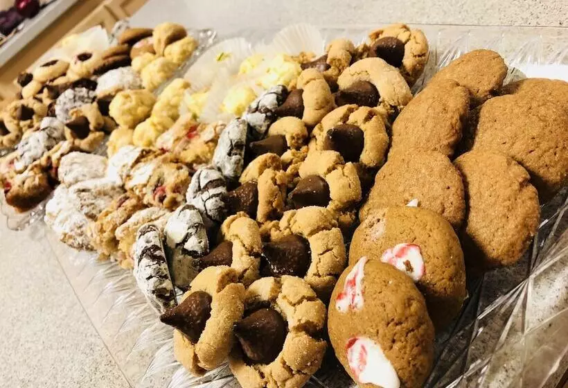 Отель Camellia Inn