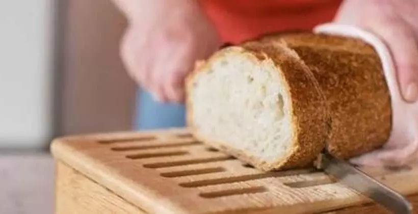 Отель Camellia Inn