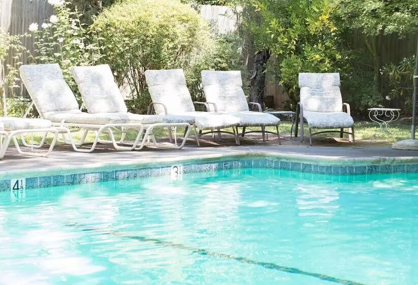 Отель Camellia Inn