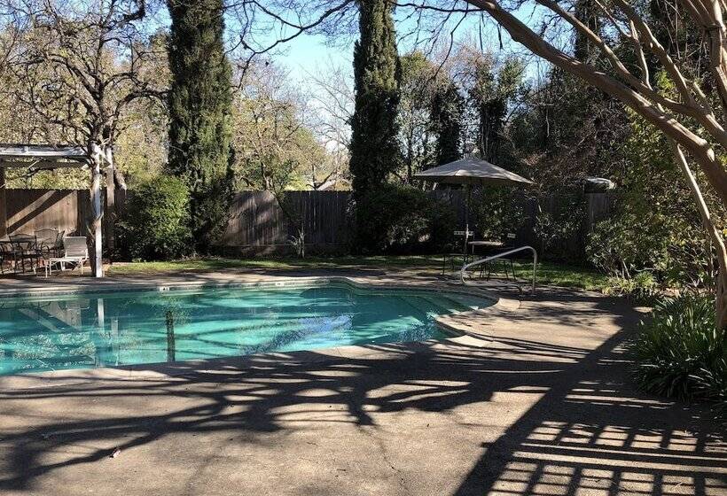 בית מלון כפרי Camellia Inn