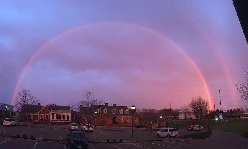 فندق Century Suites