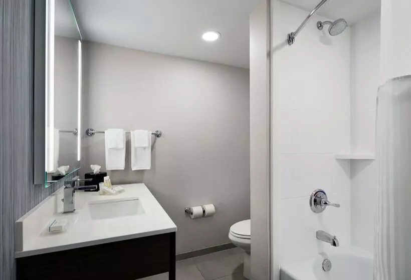 Отель Hilton Garden Inn Champaign/urbana