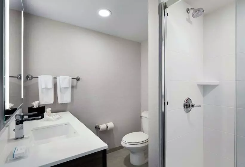 Отель Hilton Garden Inn Champaign/urbana