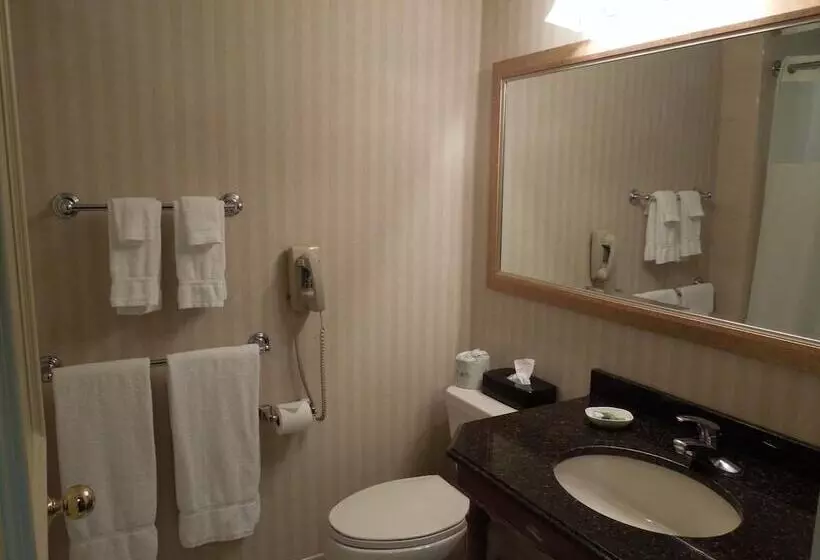 ホテル Rockville Centre Inn