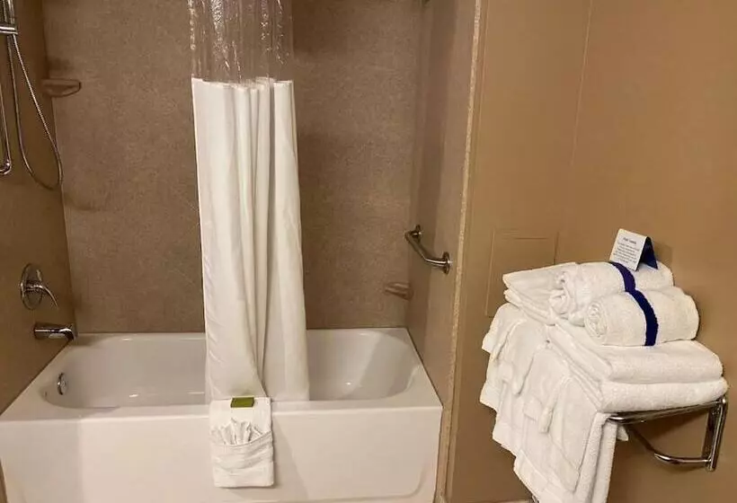 リゾートホテル Fourwinds Lakeside Inn & Marina