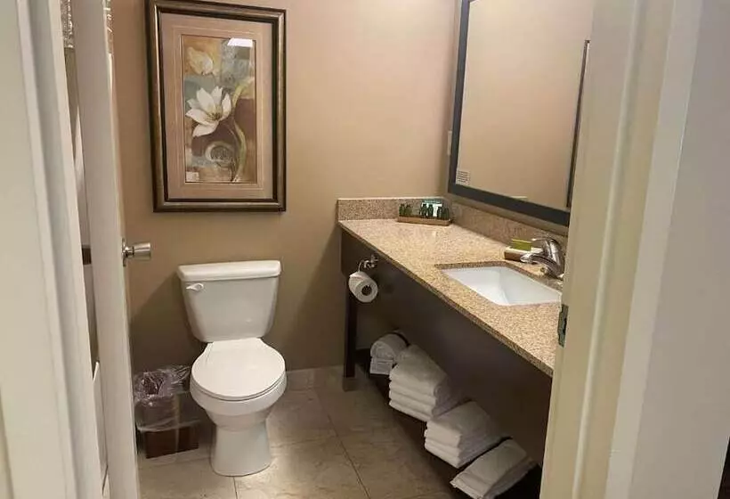 リゾートホテル Fourwinds Lakeside Inn & Marina