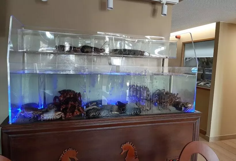 Hotelli Boutique O Náutico Laxe