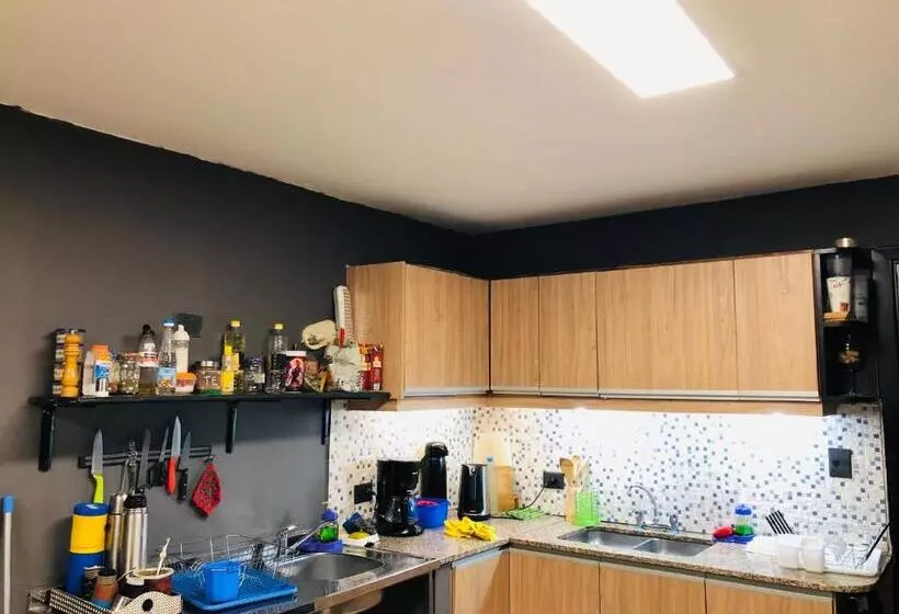 ペンション Hostel Olimpo House