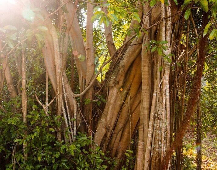 Hotel One&only Desaru Coast