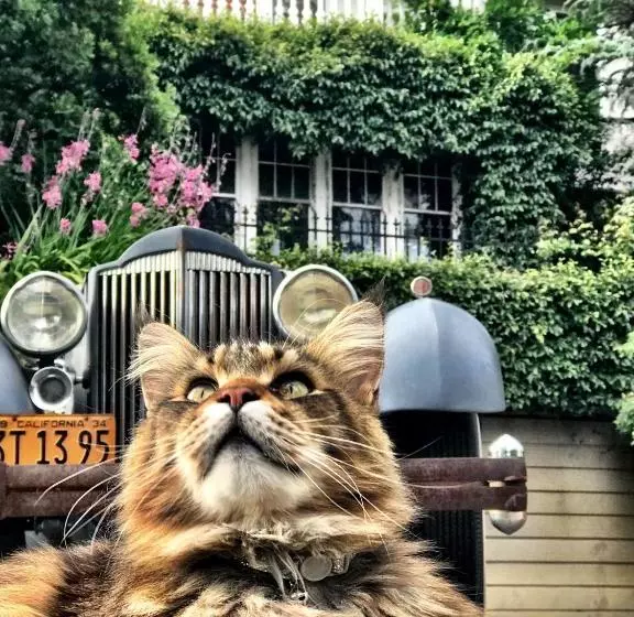 Hotelli The Inn On Knowles Hill Bed & Breakfast