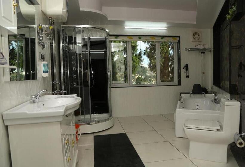 호텔 Beverly Villa