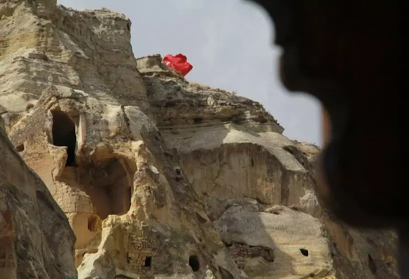 ホテル Tafana Cave & Stone Lodge