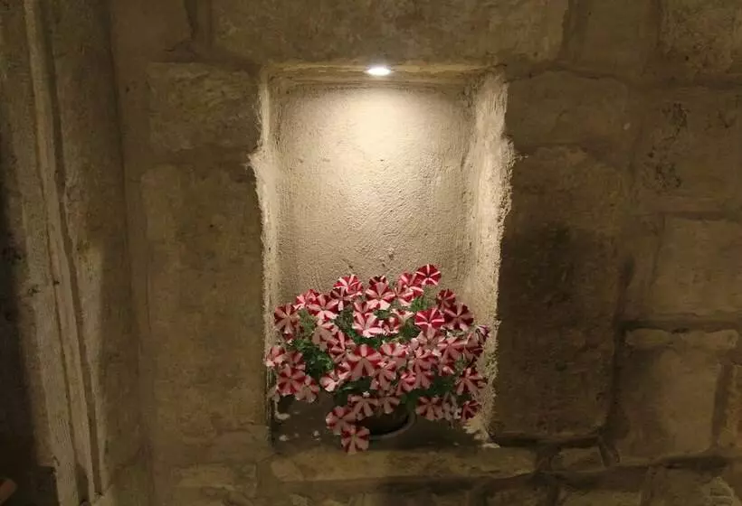 ホテル Tafana Cave & Stone Lodge