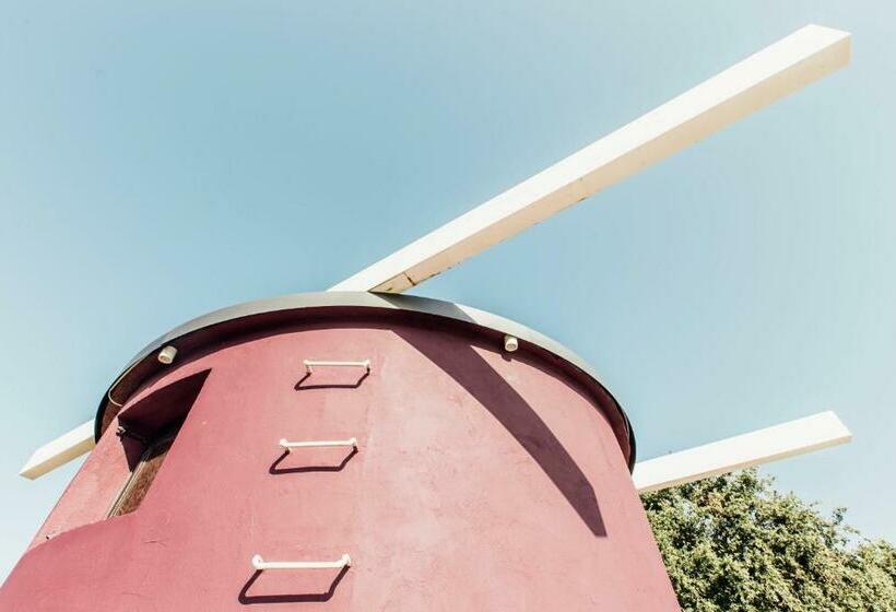 פנסיון Suite 106