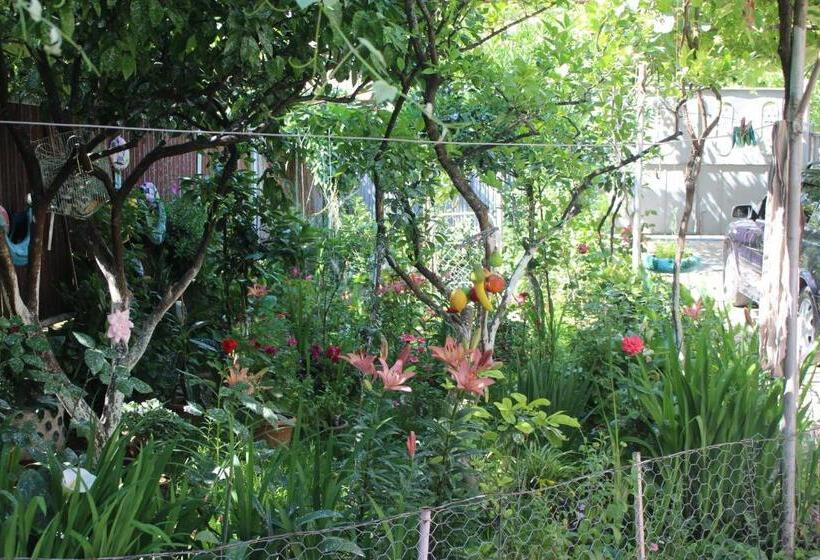 پانسیون Zarzma