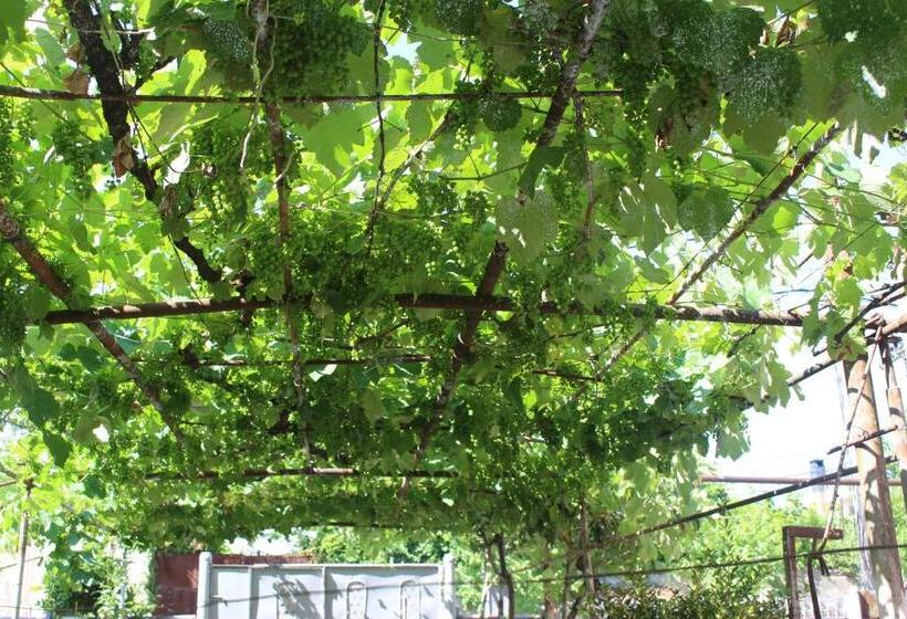 پانسیون Zarzma