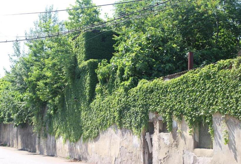 پانسیون Zarzma