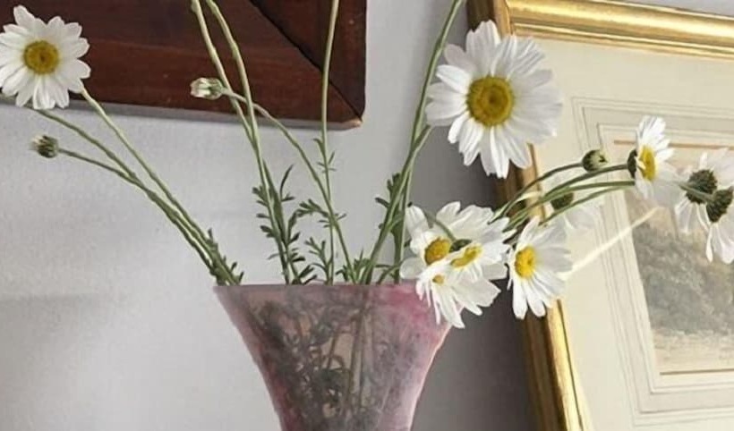 민박 Anne’s House