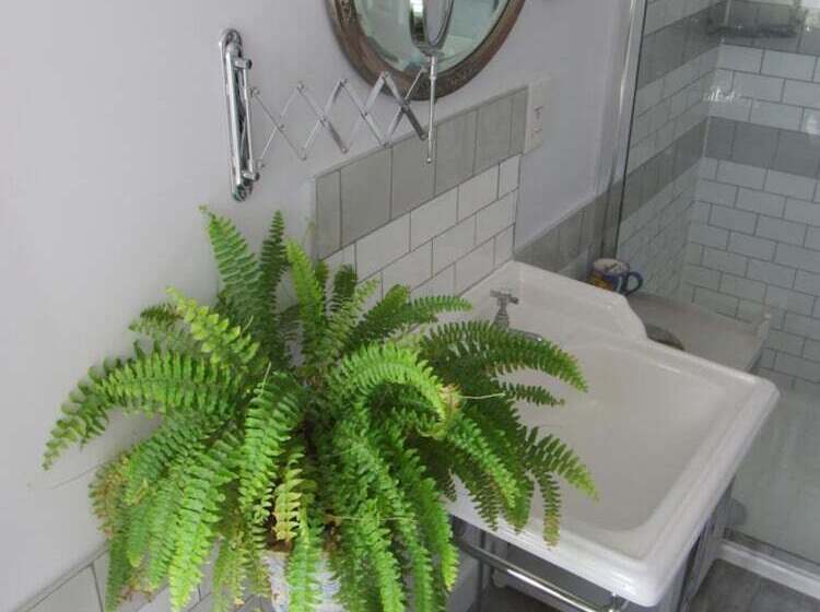 민박 Anne’s House