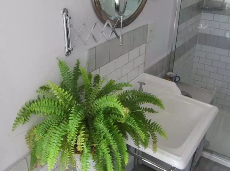 Aamiaismajoitus (B&B) Anne’s House