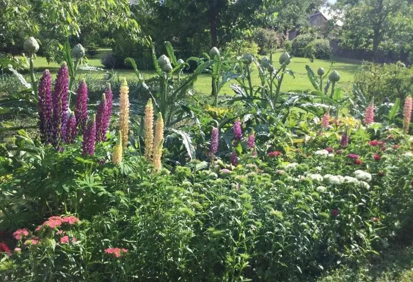 Aamiaismajoitus (B&B) Les Tilleuls De Mary