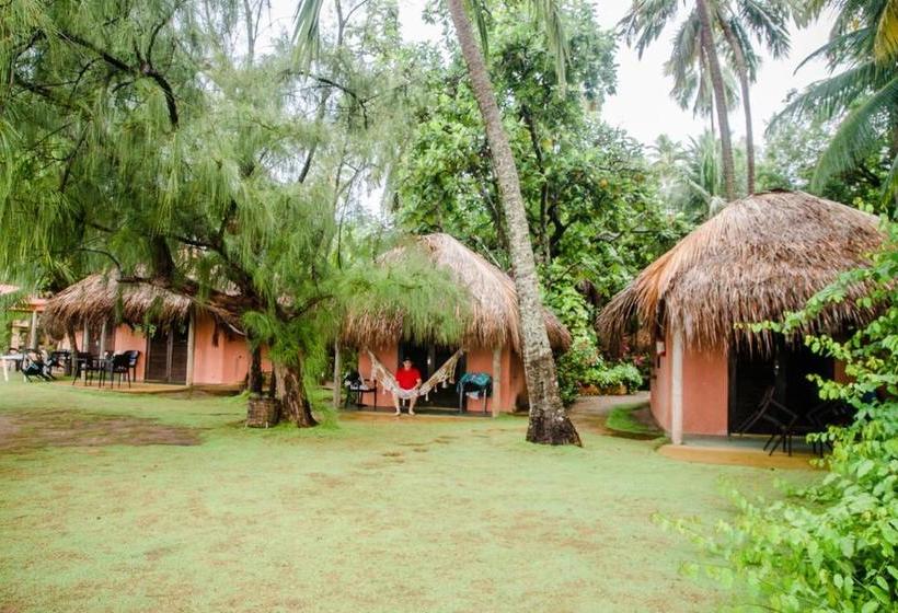 Pensjonat Pousada Doze Cabanas