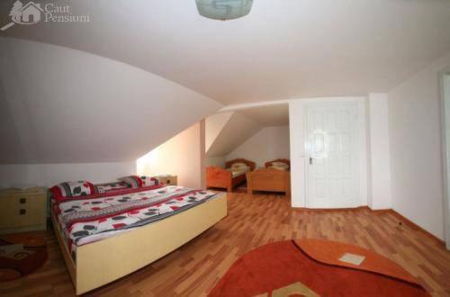 پانسیون “doru’ Muntelui”