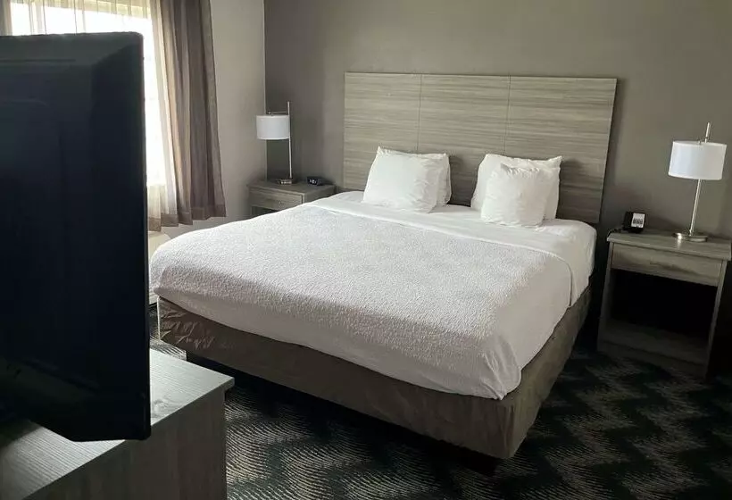 ホテル Country Inn & Suites By Radisson, Bolingbrook, I 55