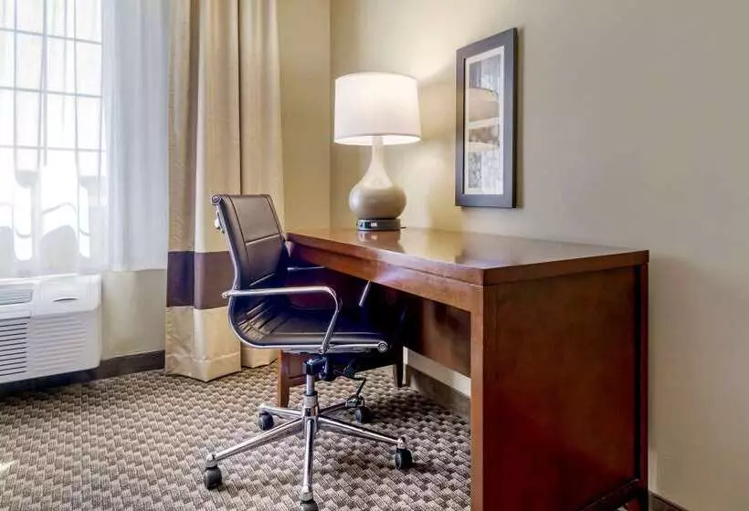 酒店 Comfort Inn Auburn Seattle