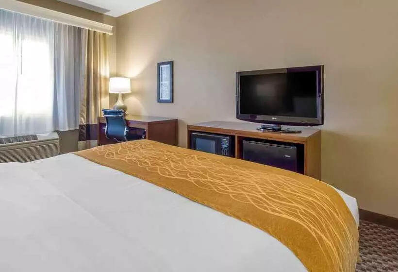 酒店 Comfort Inn Auburn Seattle