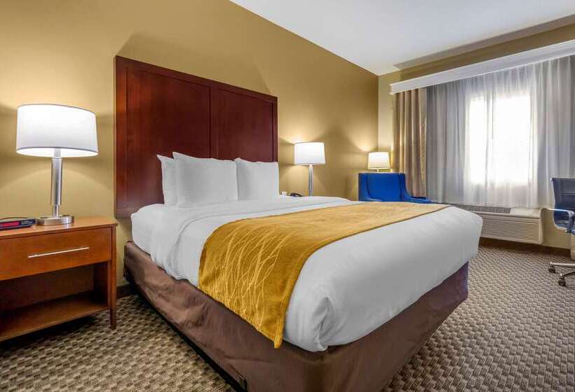 酒店 Comfort Inn Auburn  Seattle