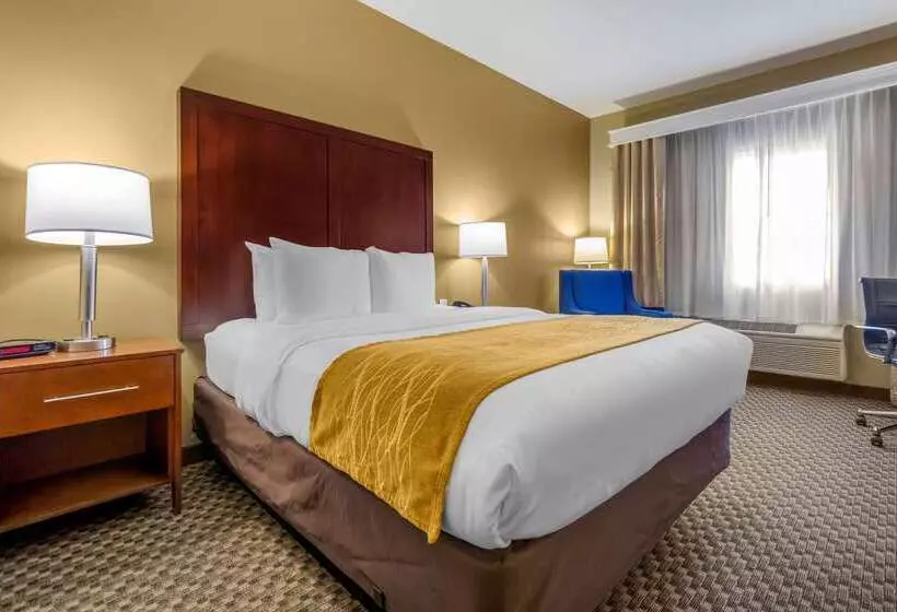 酒店 Comfort Inn Auburn Seattle