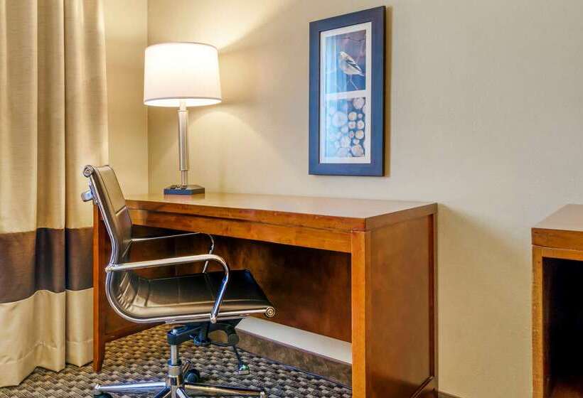 酒店 Comfort Inn Auburn  Seattle